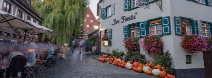 Das historische Restaurant „Zur Forelle“ im Ulmer Fischerviertel mit grün-weißen Fensterläden und blühenden Blumenkästen. Vor dem Gebäude liegt eine herbstliche Dekoration aus bunten Kürbissen. Links sitzen Gäste unter großen Sonnenschirmen an Tischen, während der gepflasterte Weg vorbei an einer beleuchteten Laterne und einer großen hängenden Weide in den Hintergrund führt