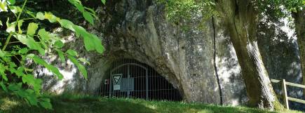Felsige Höhlenöffnung mit Gittertor, umrahmt von Bäumen und einem schmalen Pfad im Schatten.