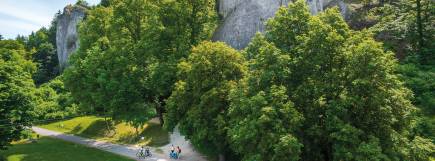 Wanderweg entlang einer steilen Felswand, gesäumt von dichten grünen Bäumen.